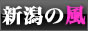�V�����̕������T�C�g�w�V���̕��x